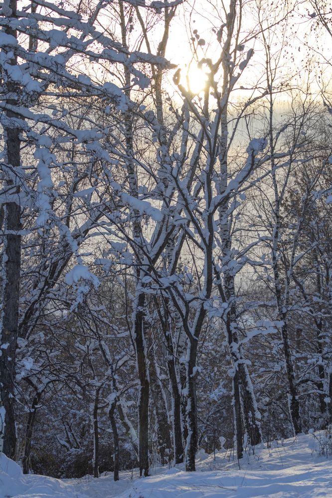 Photograph by Светлана Тарханова