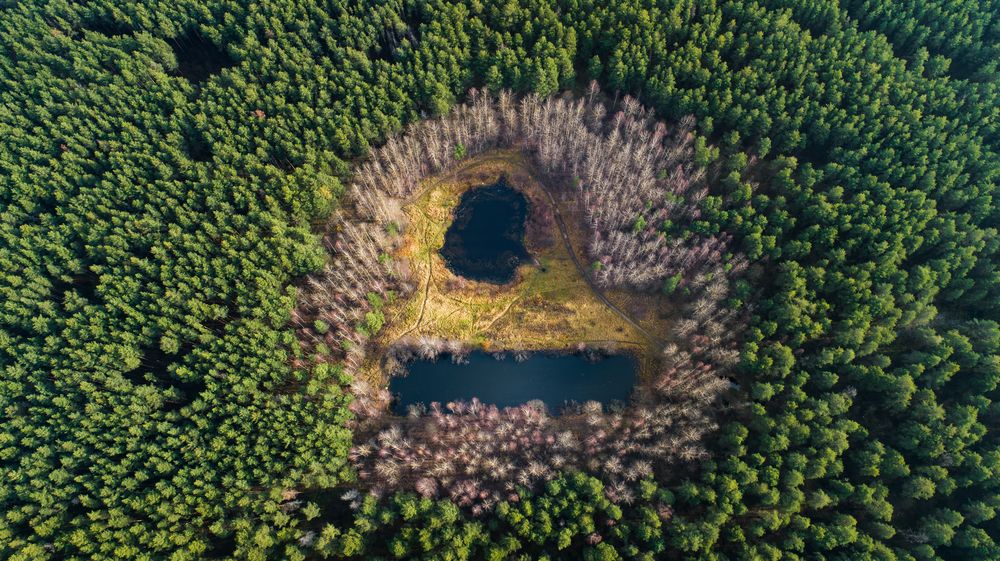 Photograph by Александр Давидик