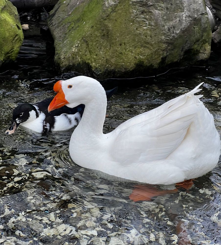 Photograph by Татьяна Михайловна