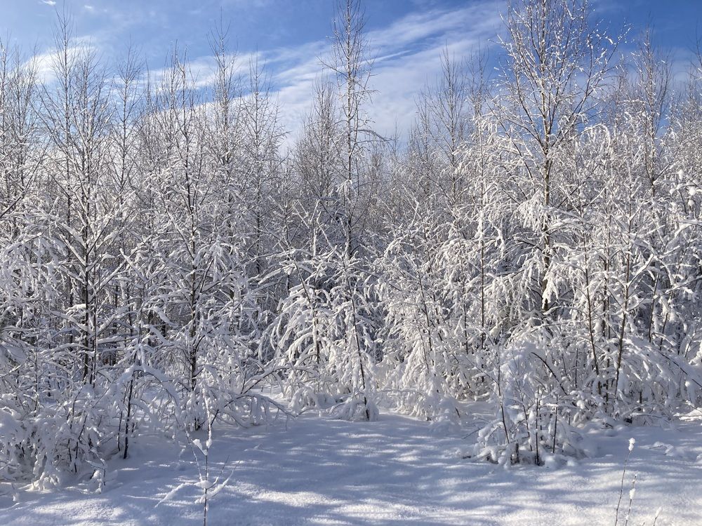 Фотография автора Алина Павлова