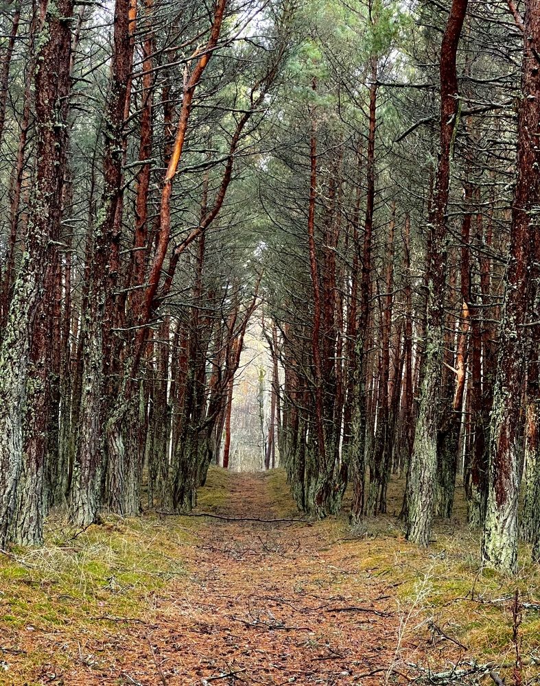 Photograph by Татьяна Михайловна