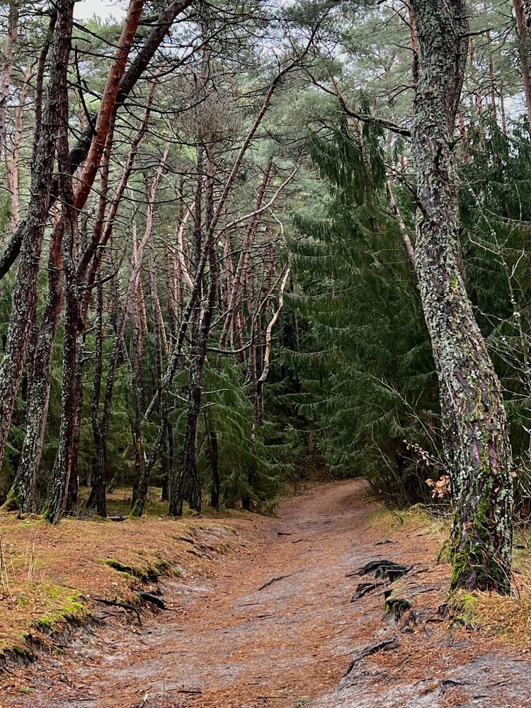 Photograph by Татьяна Михайловна