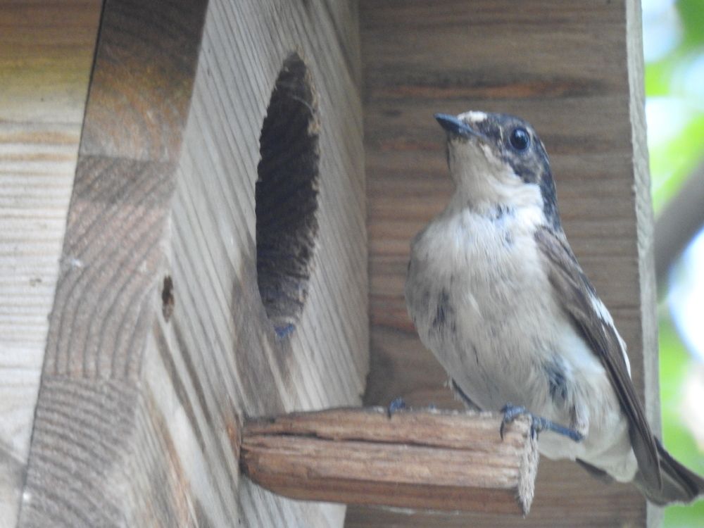 Photograph by Георгий Салюков