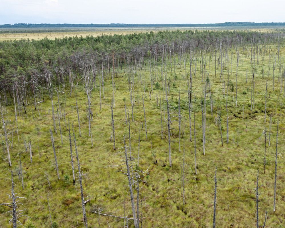 Photograph by Александр Давидик