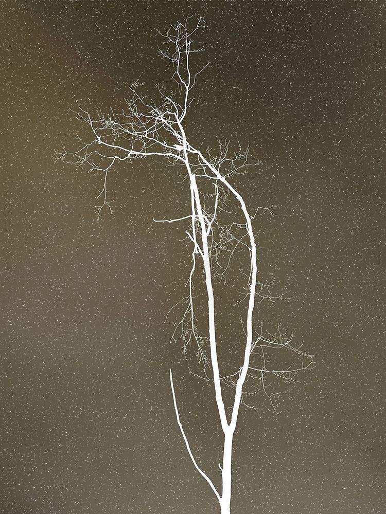 Photograph by Елена Башмакова