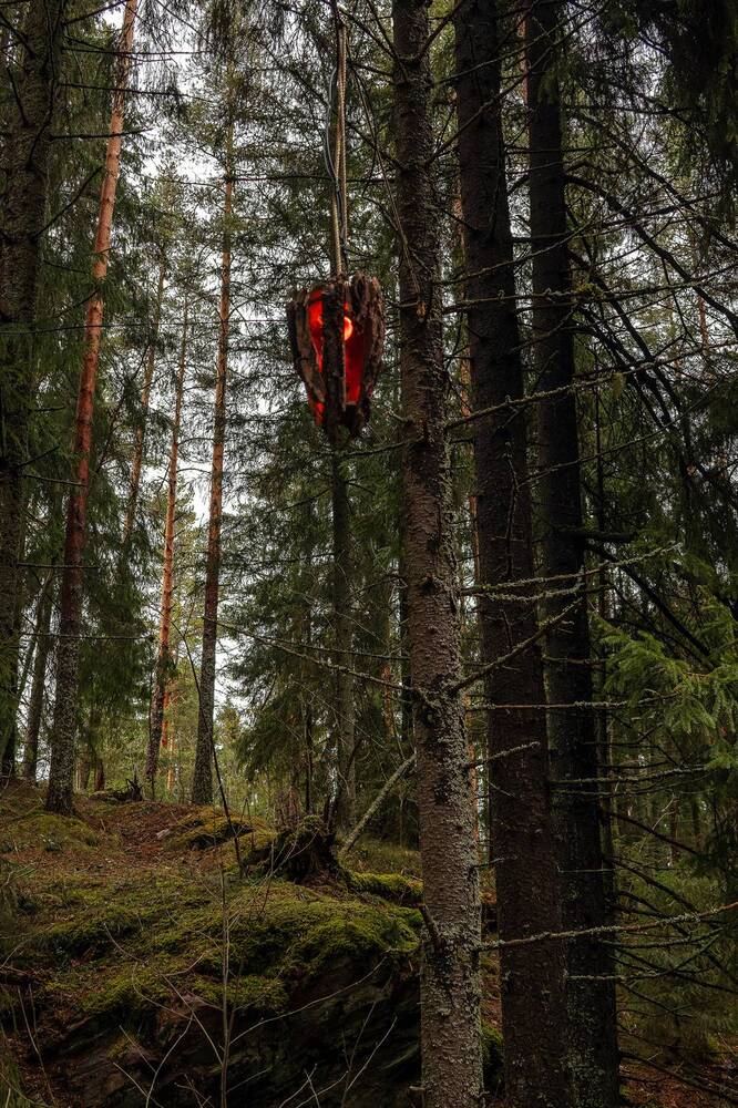 Photograph by Дмитрий Надёжный