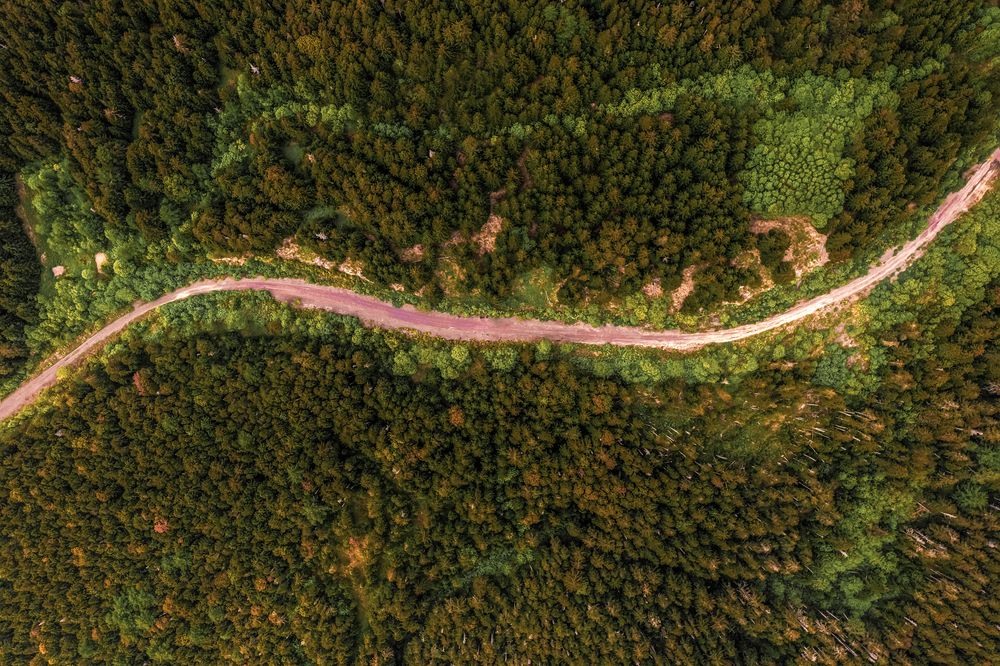 Photograph by Вероника Романенко