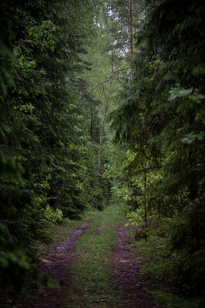 Photograph by Динара Зуйкова