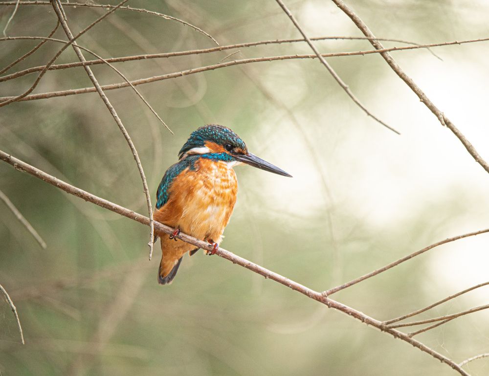 Photograph by Vladyslav Petrenko