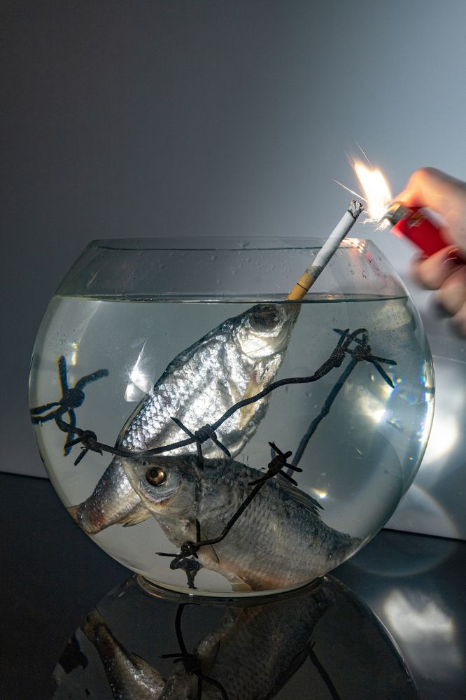 Photograph by Роман Чиколодков