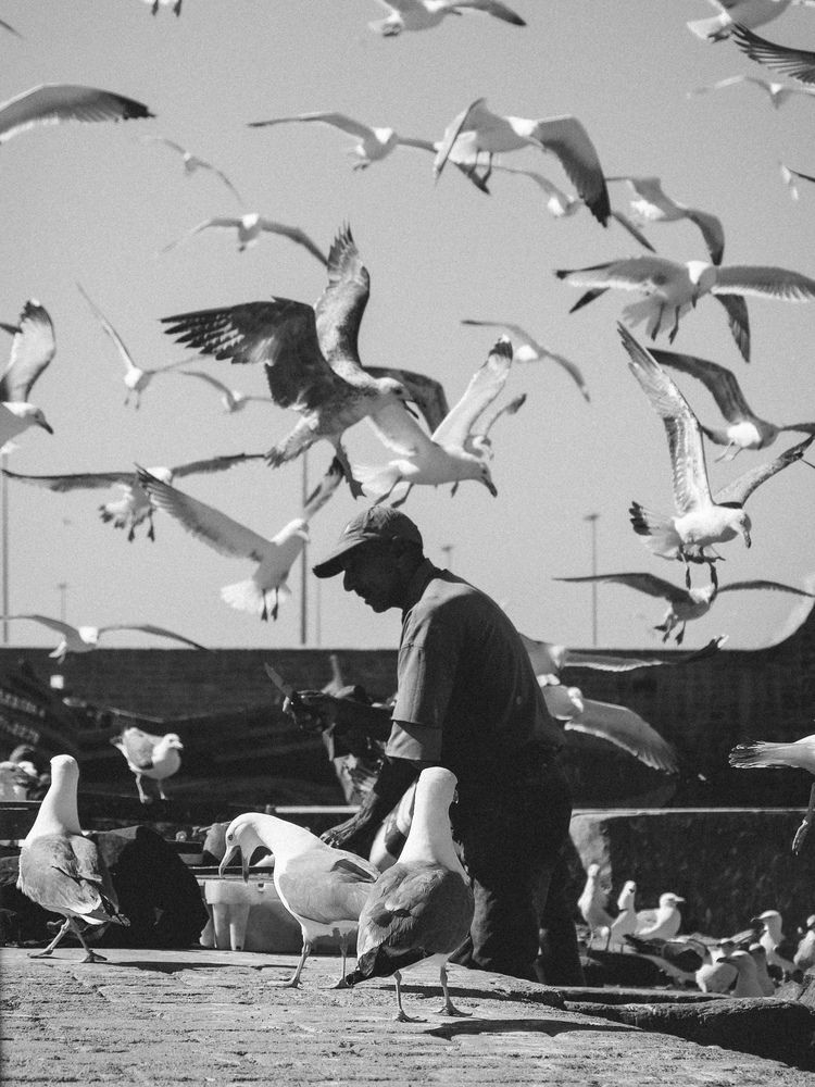 Фотография автора Анастасия Корчагина