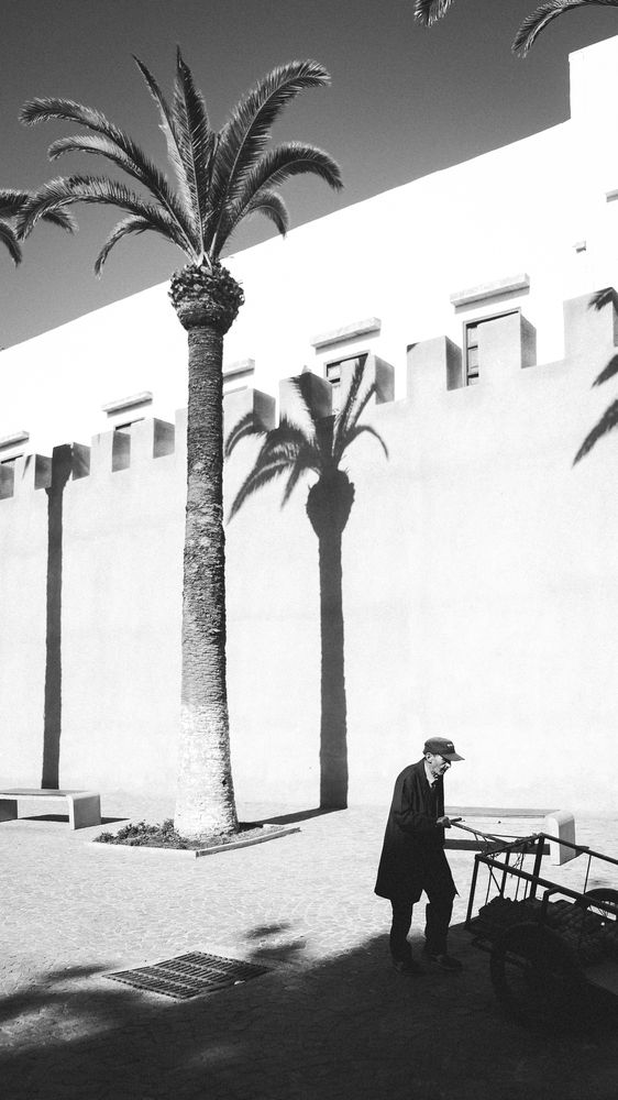 Фотография автора Анастасия Корчагина