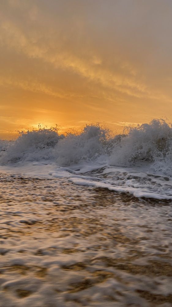 Photograph by Светлана Фесенко