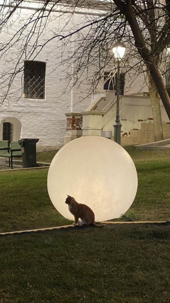 Photograph by Светлана Фесенко