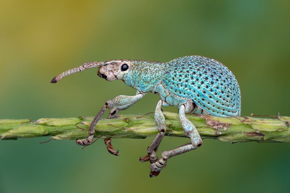 Photograph by Marcus Kam