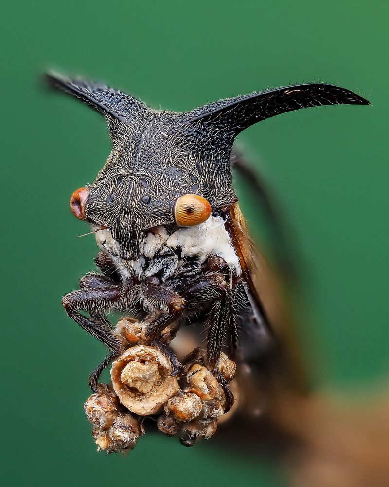 Photograph by Marcus Kam