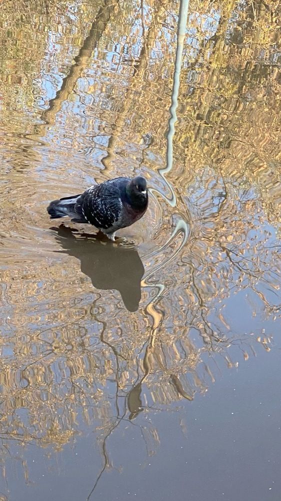 Photograph by Светлана Фесенко