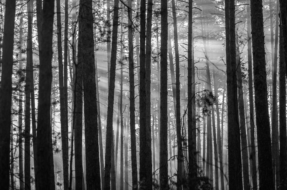 Photograph by Динара Зуйкова