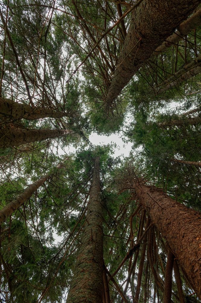 Photograph by Дмитрий Надёжный