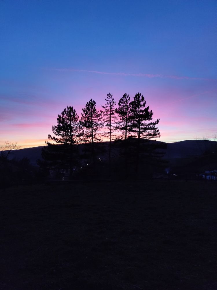 Photo #11794412