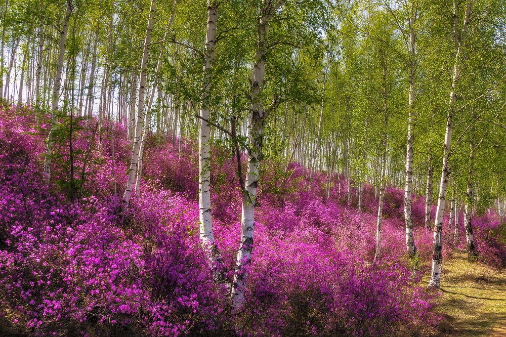 Photograph by Zakharov Armen