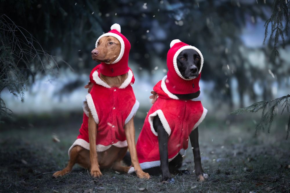 Photograph by Мария Романова