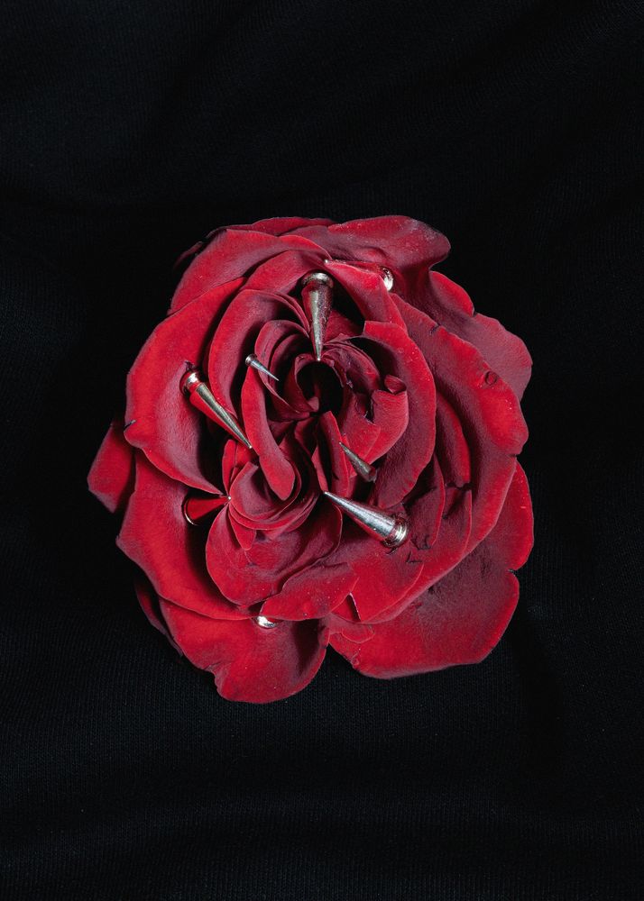 Photograph by Роман Чиколодков