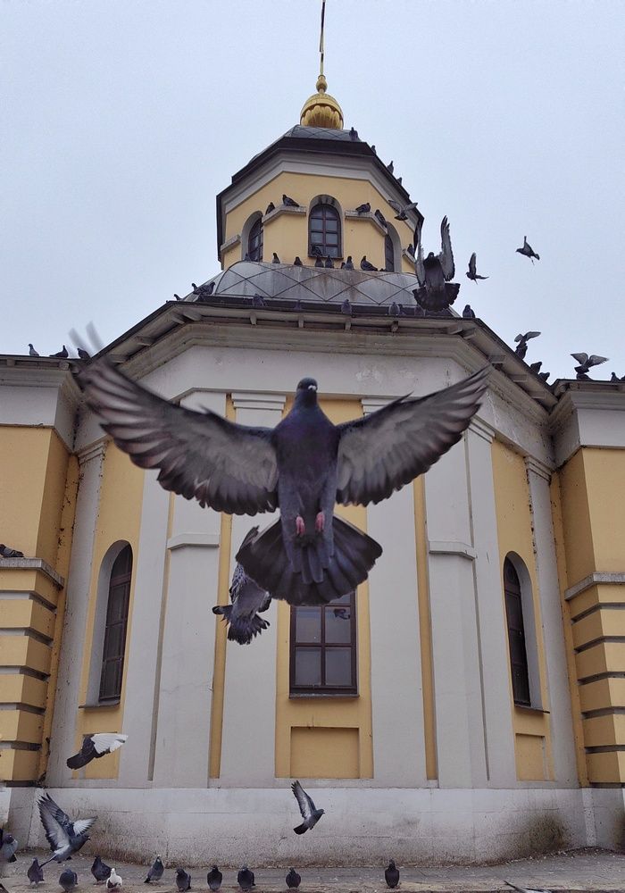 Photograph by Елена Алексеева