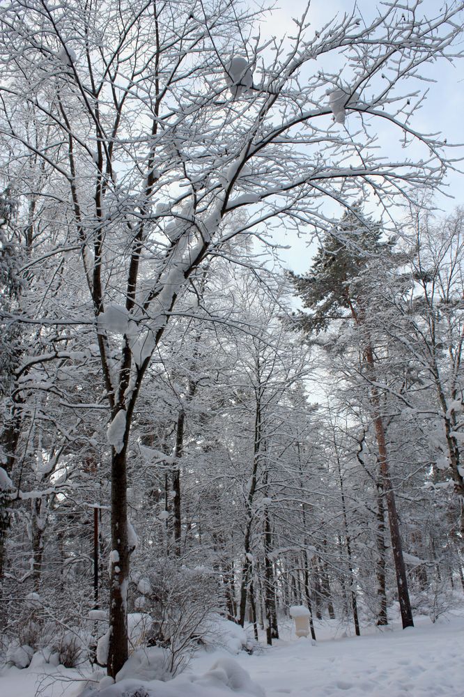 Photograph by Татьяна