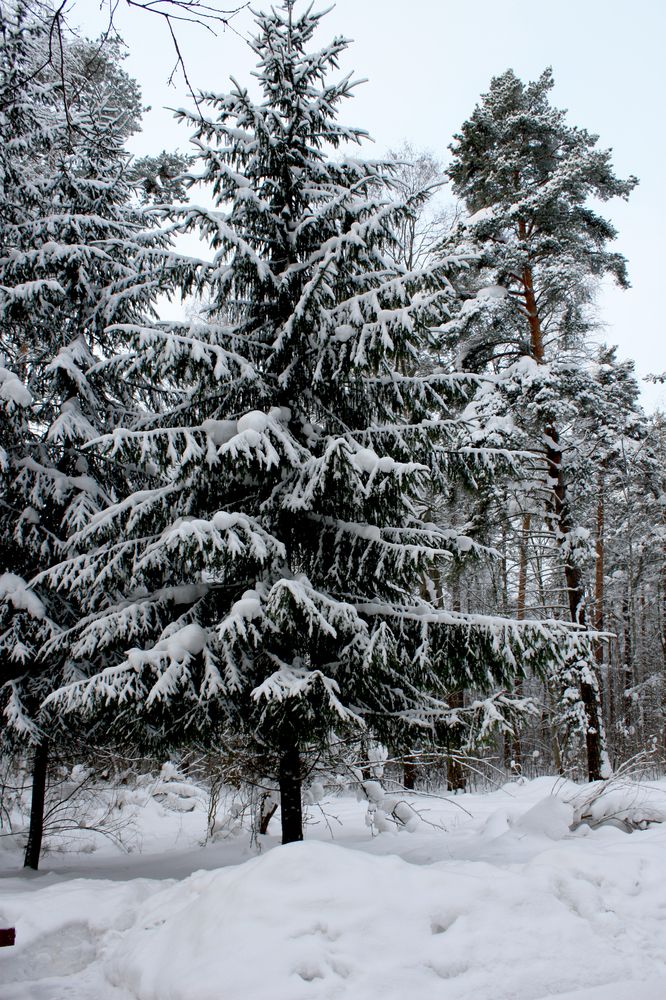 Photograph by Татьяна