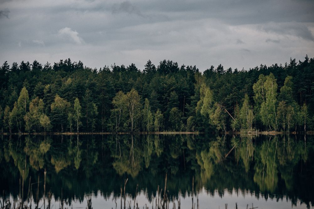 Photograph by Татьяна Зубехина