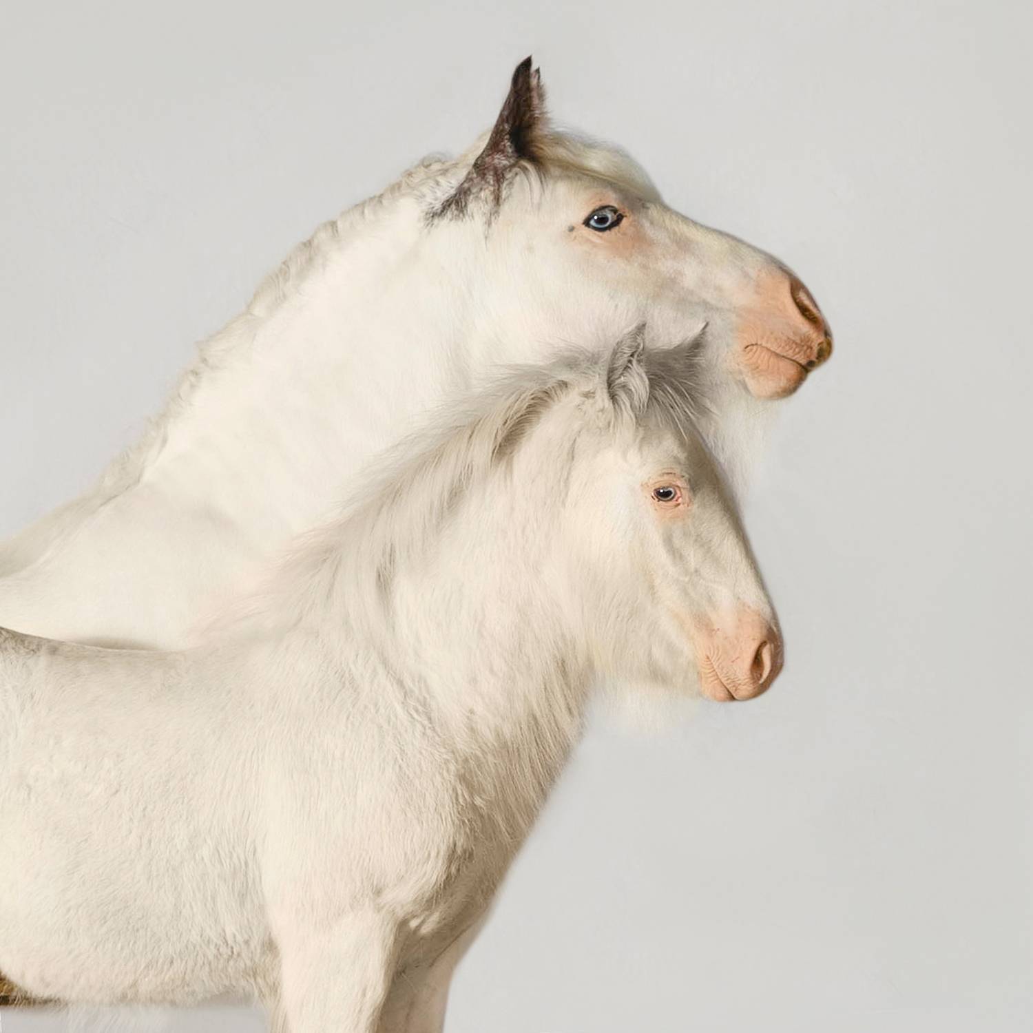 Фотография #11794508