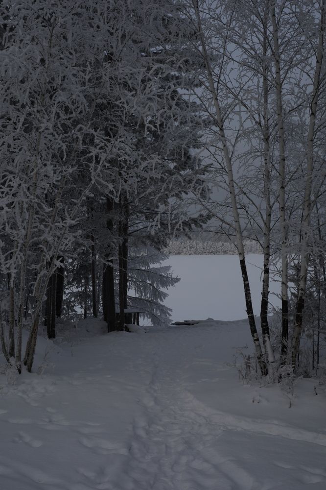 Photograph by Елена Шишкина