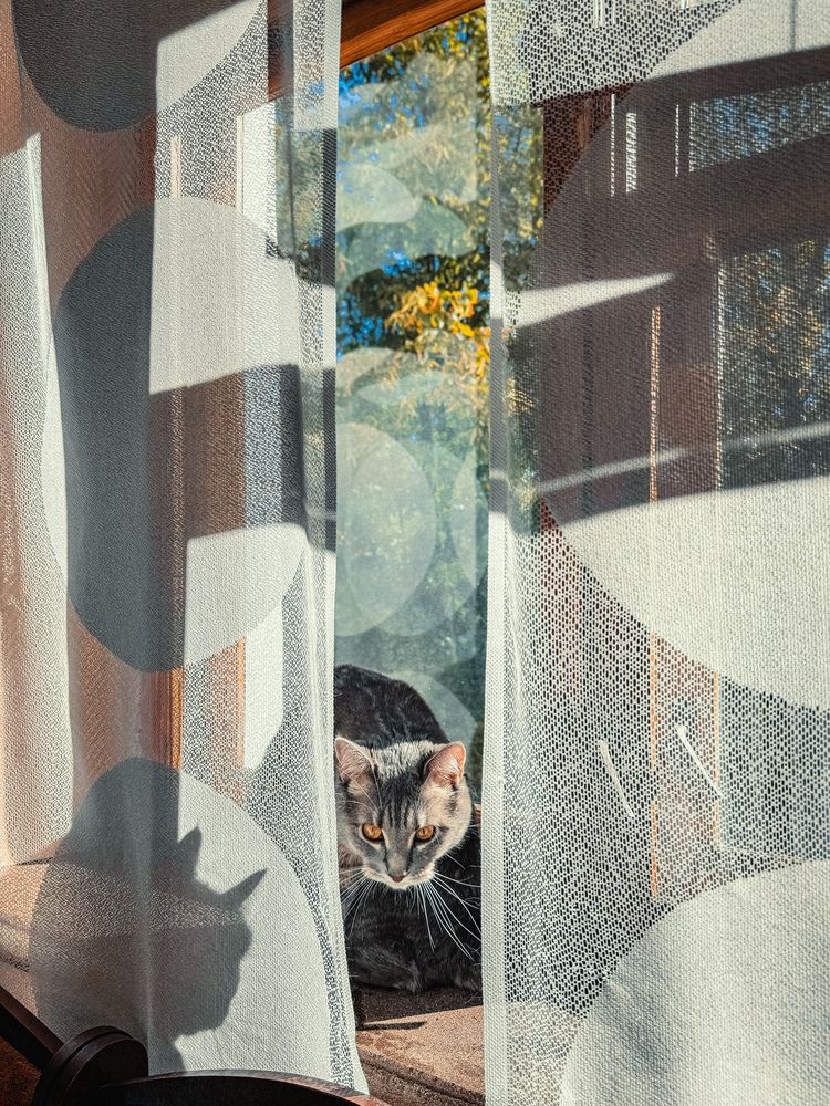 Фотография автора Светлана Соловьева