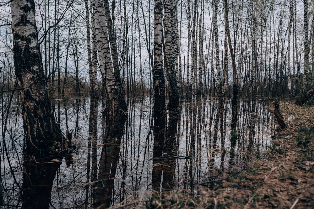 Photograph by Татьяна Зубехина