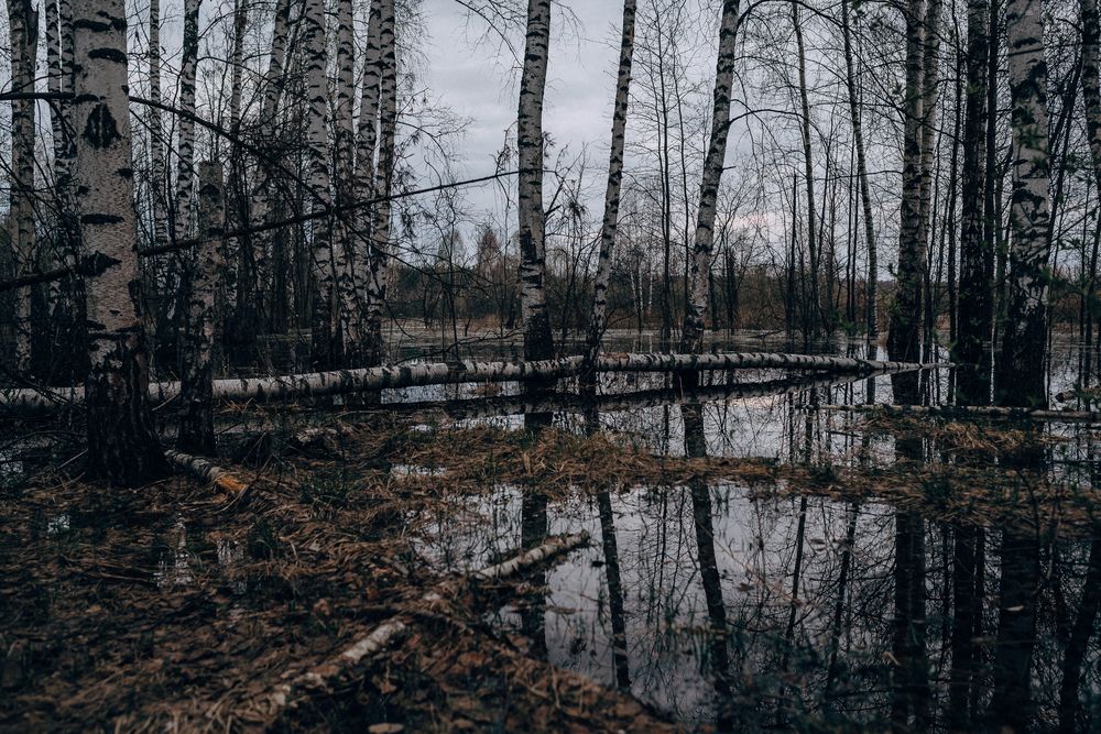 Photograph by Татьяна Зубехина