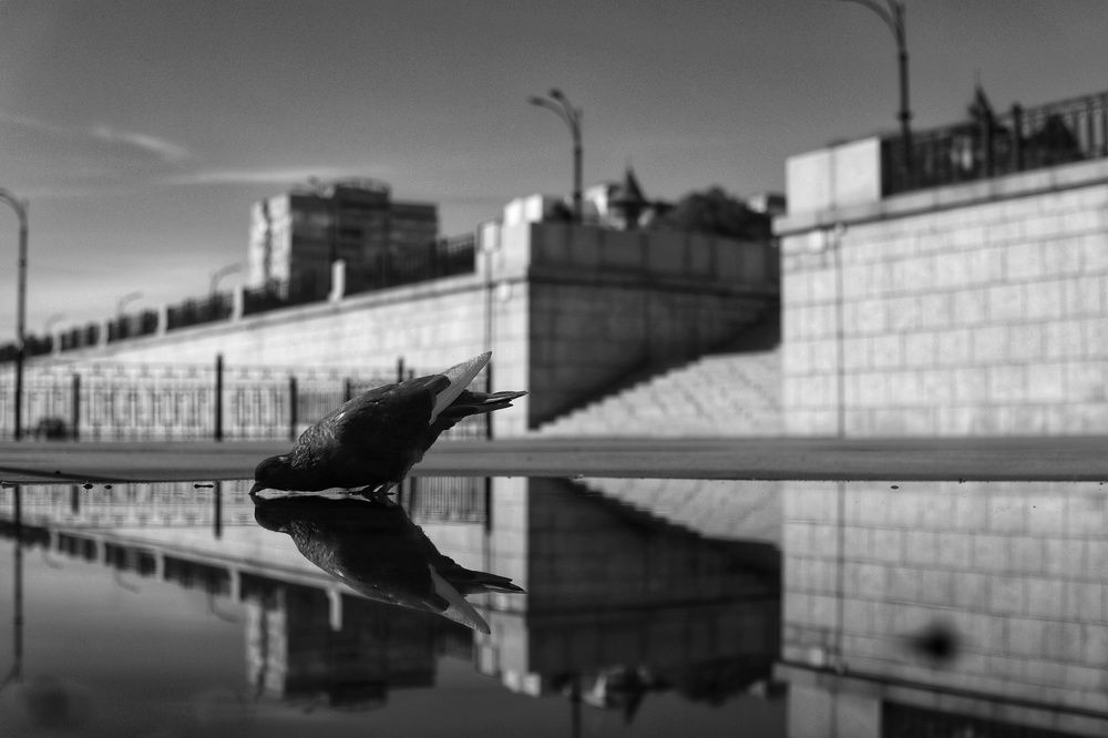 Фотография автора Сергей