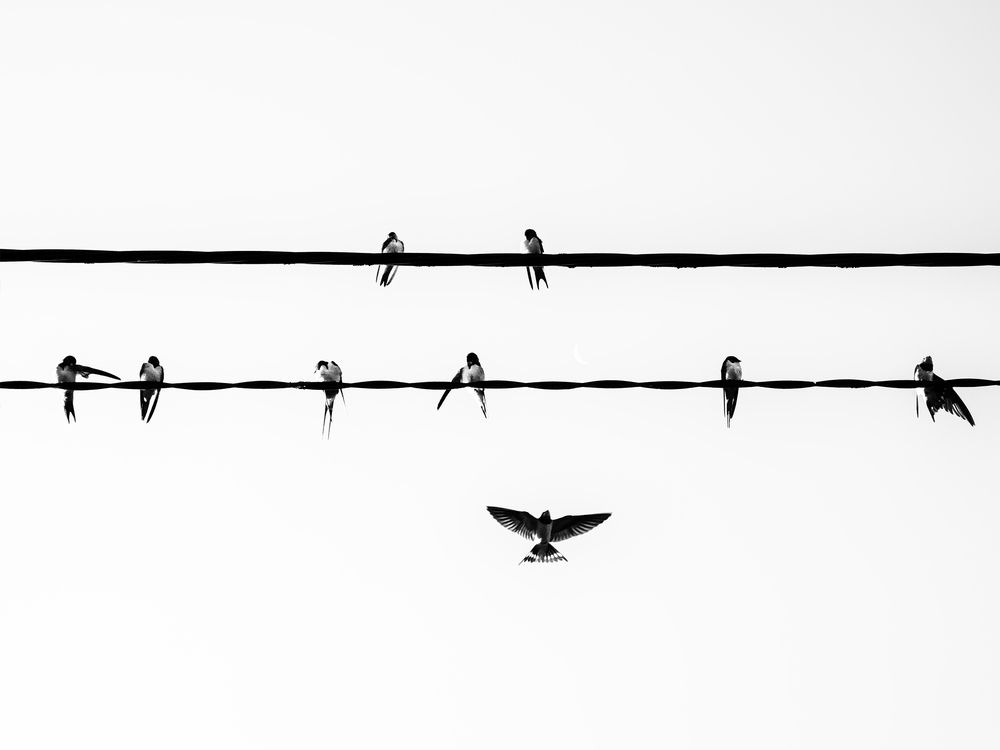 Photograph by Natalia Bolotenkova