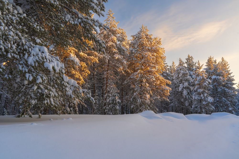 Photograph by Дмитрий Шавловский
