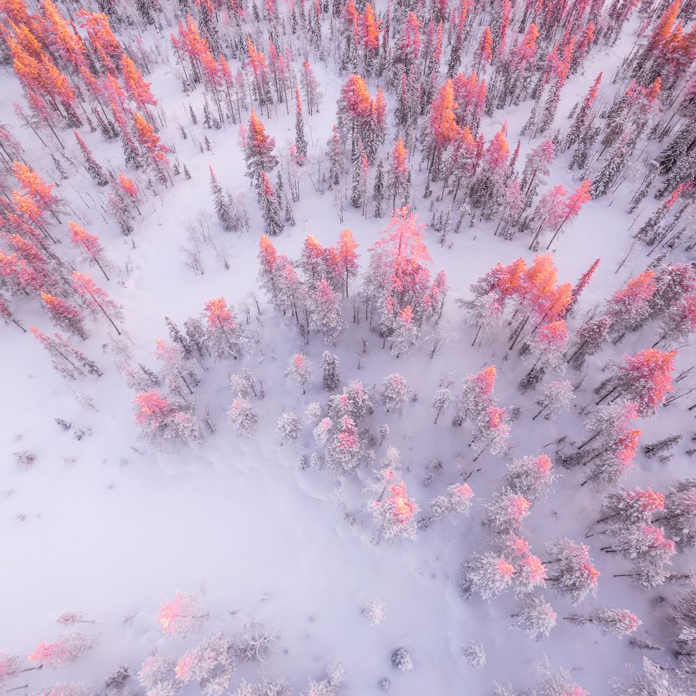 Photograph by Дмитрий Шавловский