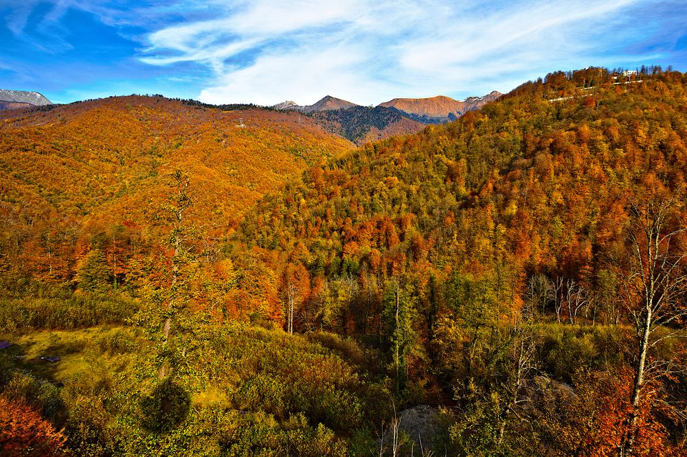 Photograph by Oleg