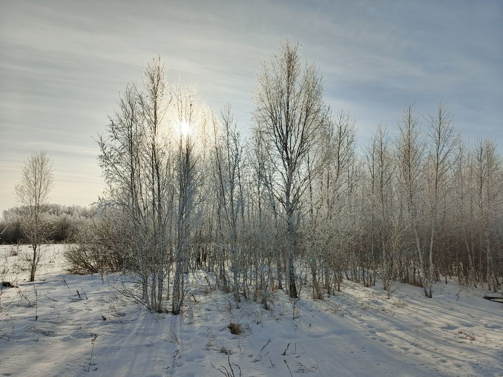 Photograph by Оксана Макарова