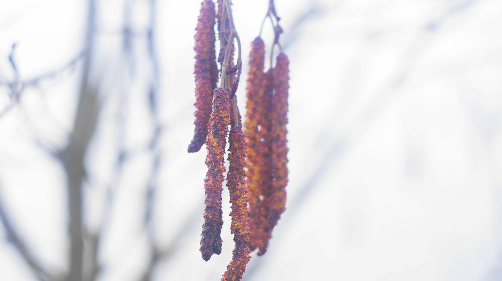 Photograph by Михаил Жуковский