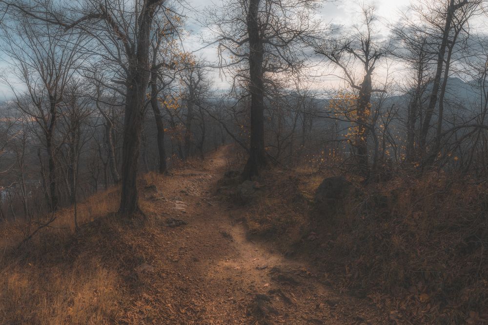 Photograph by Дмитрий Шавловский