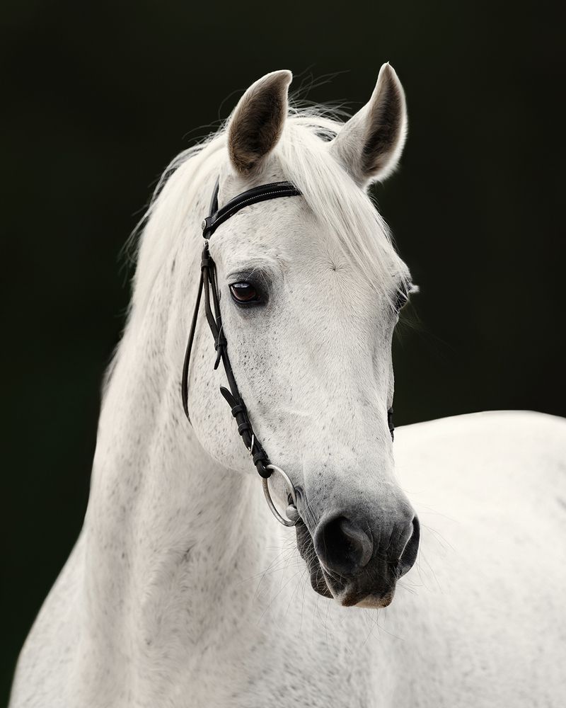 Фотография автора Helena