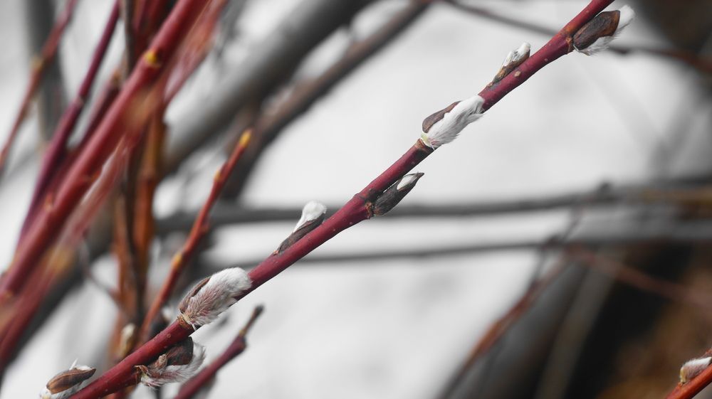 Photograph by Михаил Жуковский