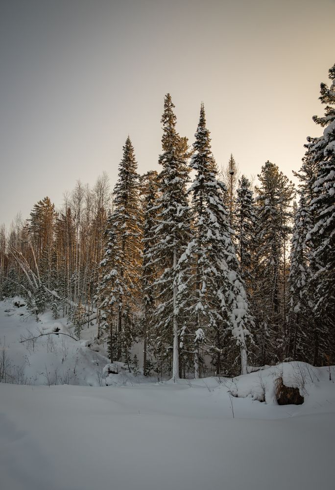 Photograph by Альварис Сукманюк