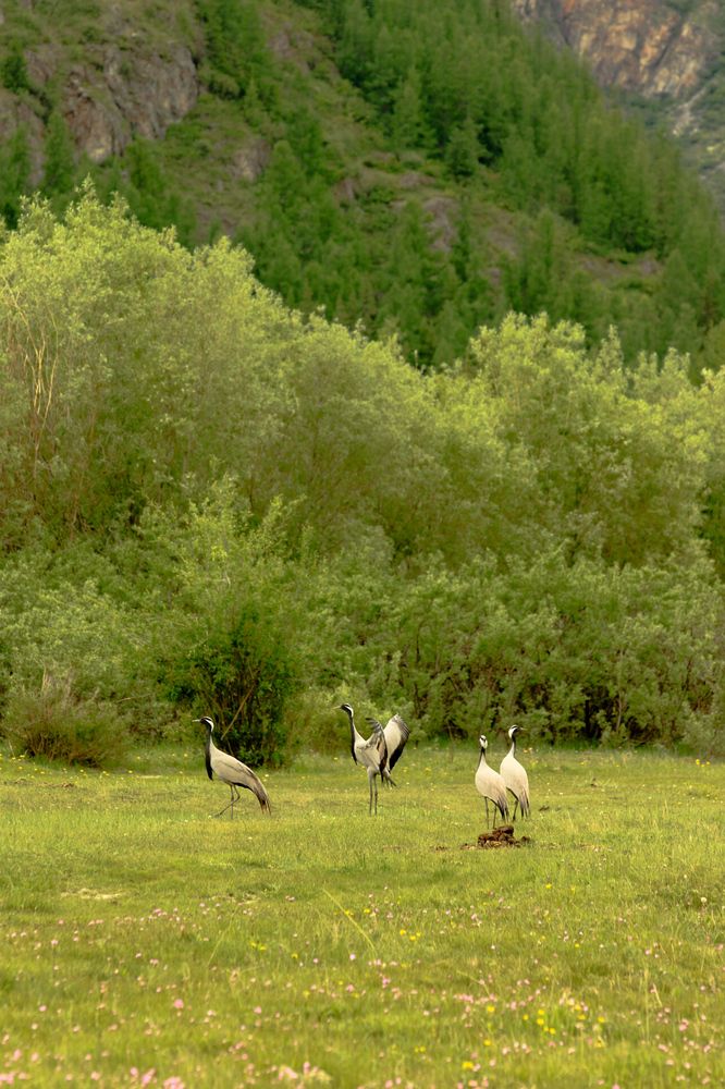 Photograph by Svetlana Kovalchuk