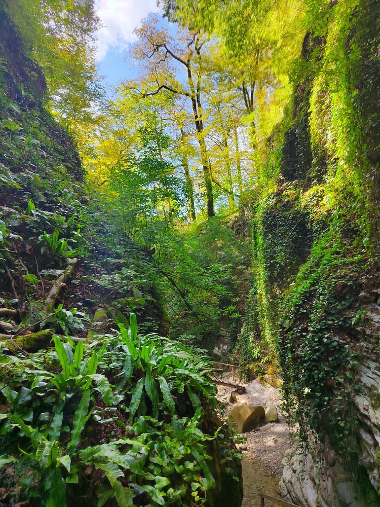 Photograph by Куделенко Оксана