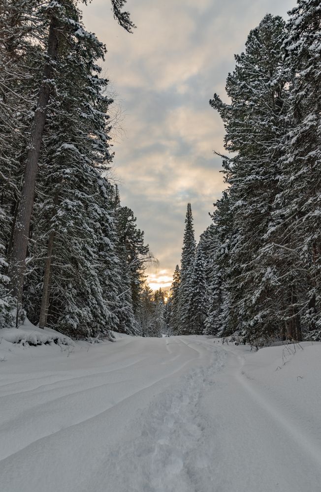 Photograph by Альварис Сукманюк